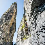 Clea - Modern Alpine Hideaway Appartement